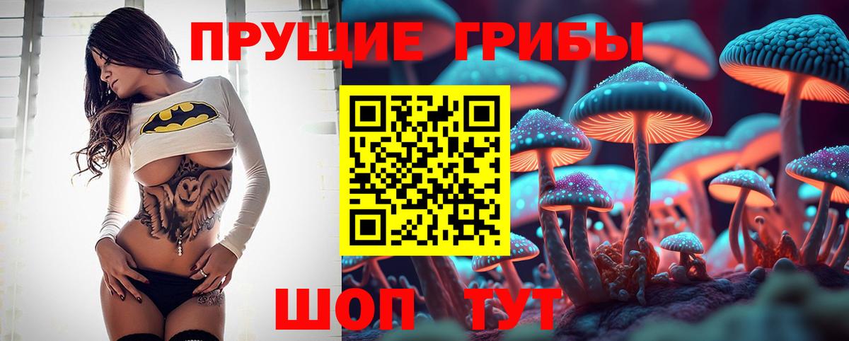 где купить   Галлюциногенные грибы ЛСД  Псилоцибиновые грибы MAGIC MUSHROOMS  Вход с VPN  Белореченск 